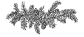 Pines Hovawart Home Page