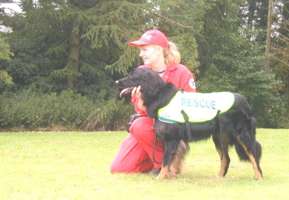 Hovawart search and rescue
