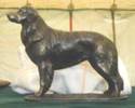 model hovawart - bronze