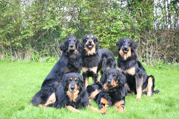 Pines Hovawarts group shot April 2005