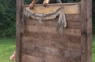 Climbing