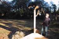 Climbing